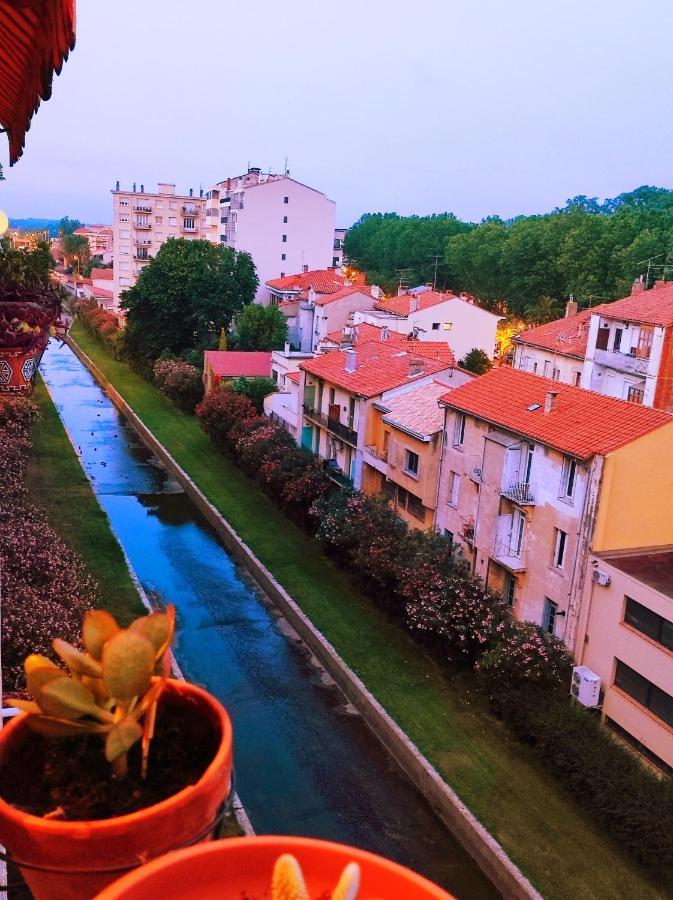 Le Balcon De La Basse Centre Ville De بيربينيو المظهر الخارجي الصورة
